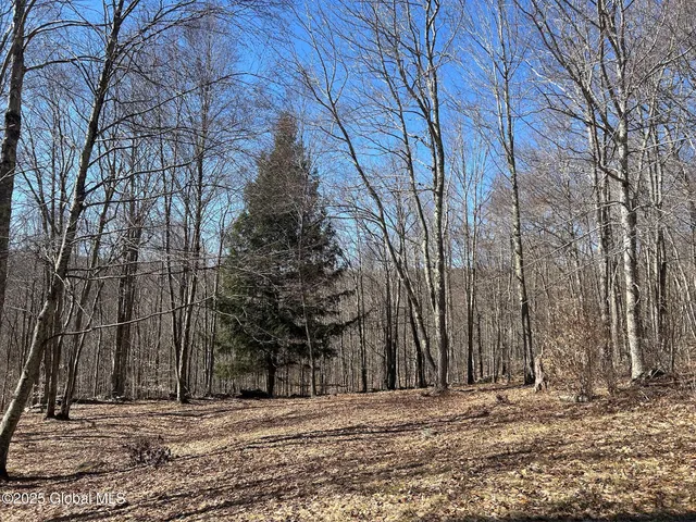 $85,000 | L22.2 L22.2 Alder Pond Road, Andes, NY 13731