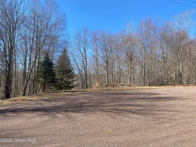 $85,000 | L22.2 L22.2 Alder Pond Road, Andes, NY 13731