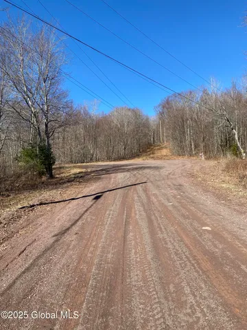 $85,000 | L22.2 L22.2 Alder Pond Road, Andes, NY 13731