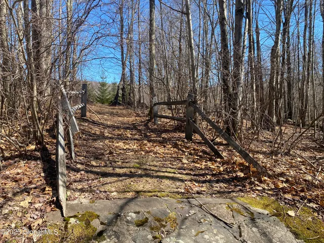 $85,000 | L22.2 L22.2 Alder Pond Road, Andes, NY 13731