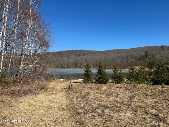 $85,000 | L22.2 L22.2 Alder Pond Road, Andes, NY 13731