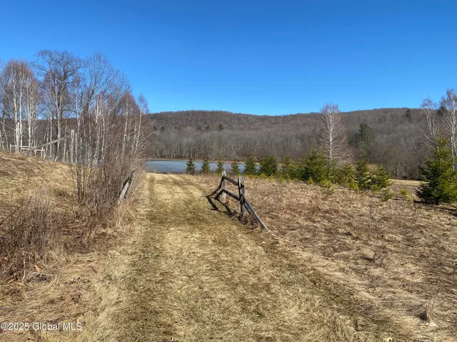 $85,000 | L22.2 L22.2 Alder Pond Road, Andes, NY 13731