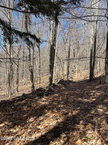 $85,000 | L22.2 L22.2 Alder Pond Road, Andes, NY 13731