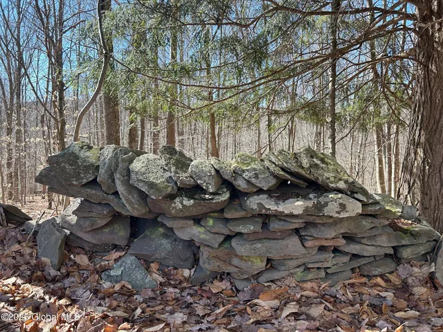 $85,000 | L22.2 L22.2 Alder Pond Road, Andes, NY 13731
