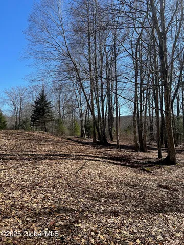 $85,000 | L22.2 L22.2 Alder Pond Road, Andes, NY 13731