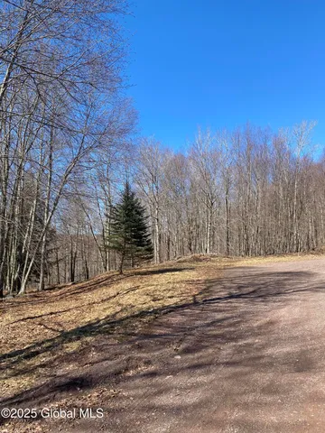 $85,000 | L22.2 L22.2 Alder Pond Road, Andes, NY 13731