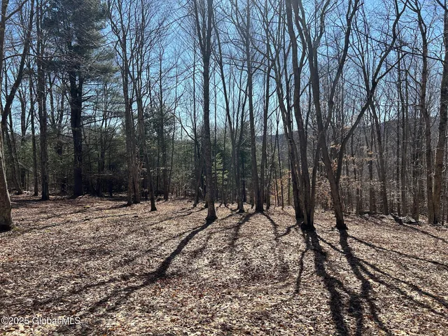 $85,000 | L22.2 L22.2 Alder Pond Road, Andes, NY 13731