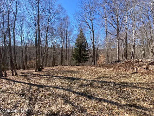 $85,000 | L22.2 L22.2 Alder Pond Road, Andes, NY 13731