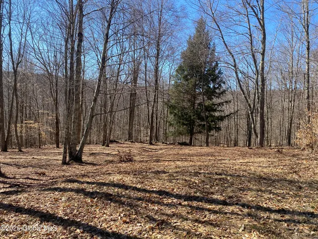 $85,000 | L22.2 L22.2 Alder Pond Road, Andes, NY 13731