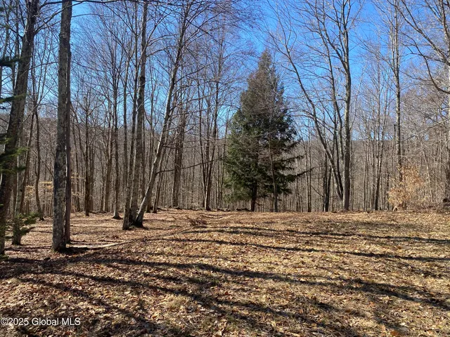 $85,000 | L22.2 L22.2 Alder Pond Road, Andes, NY 13731