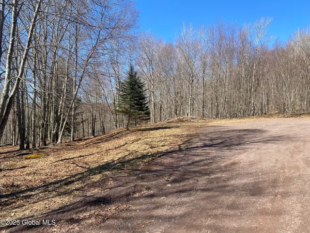 $85,000 | L22.2 L22.2 Alder Pond Road, Andes, NY 13731