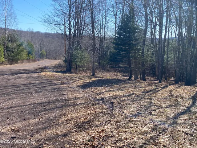$85,000 | L22.2 L22.2 Alder Pond Road, Andes, NY 13731