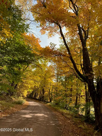 $85,000 | L22.2 L22.2 Alder Pond Road, Andes, NY 13731