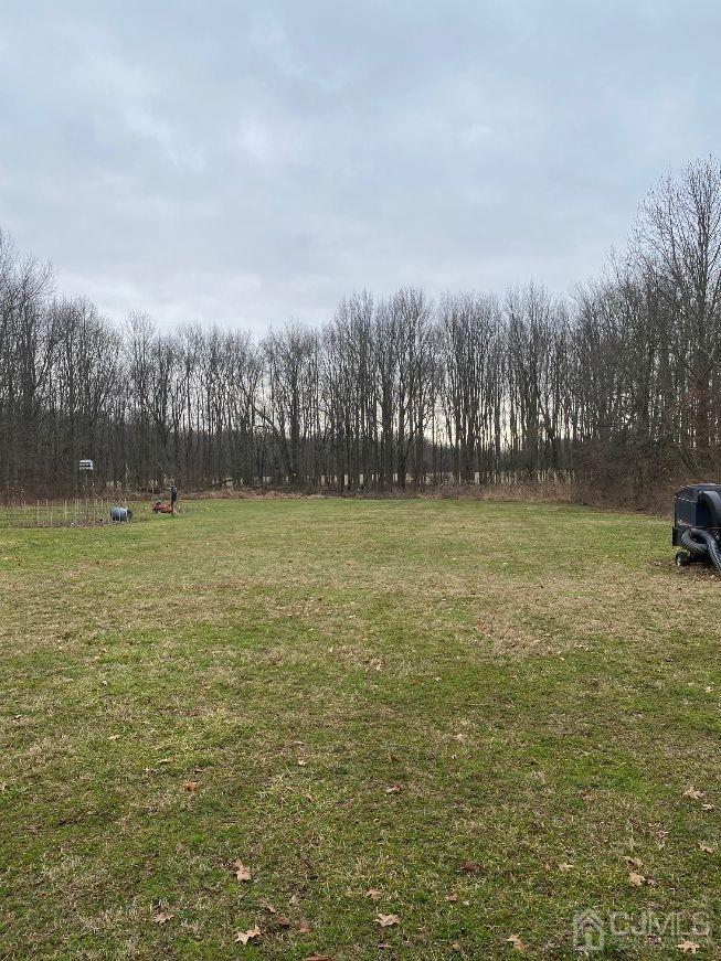 36 Halsey Reed Road Monroe Township, NJ 08831 - Photo 6 of 9 a view of a field with trees in the background