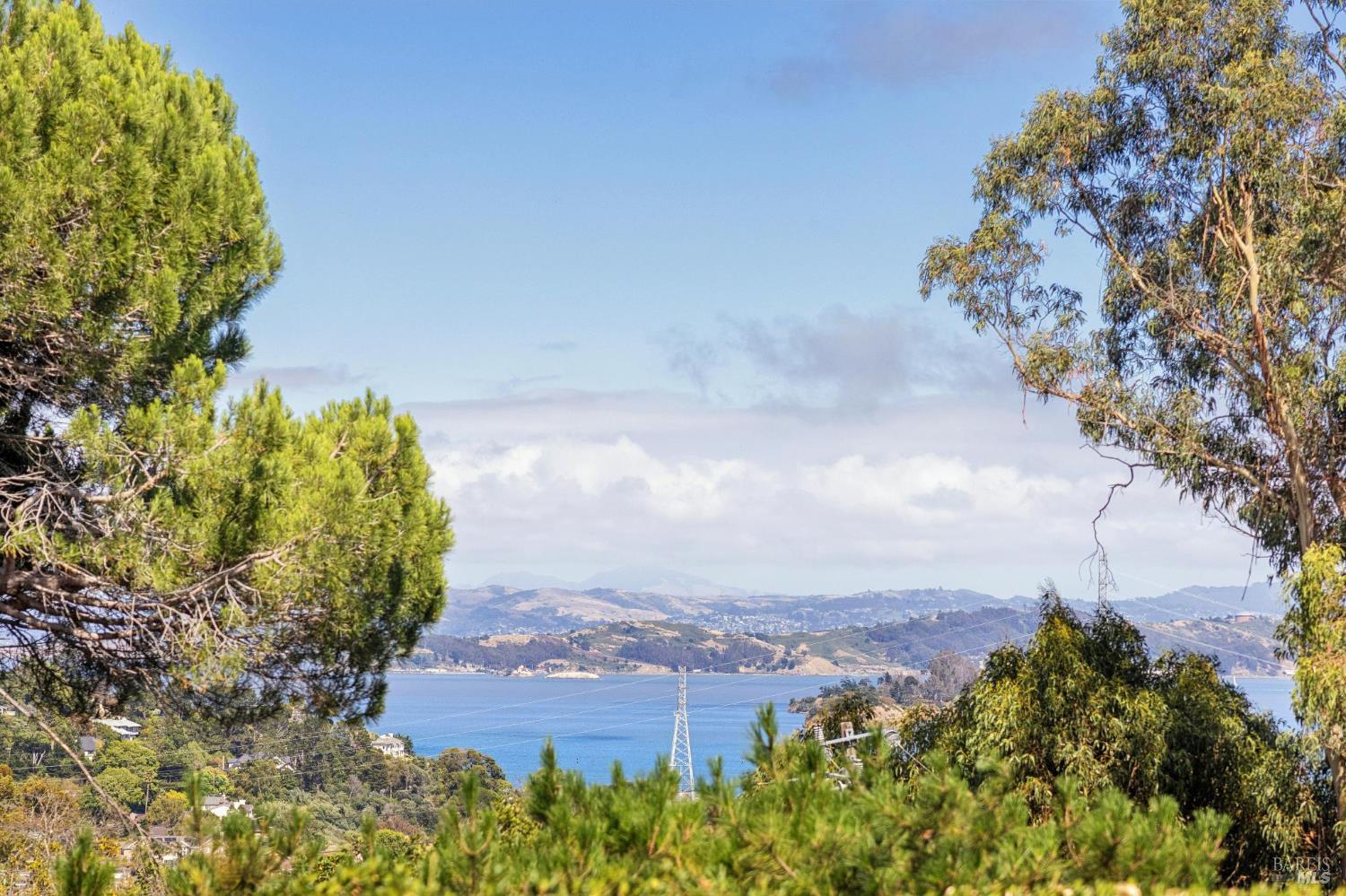 40 West Seaview Avenue San Rafael, CA 94901 - Photo 24 of 68