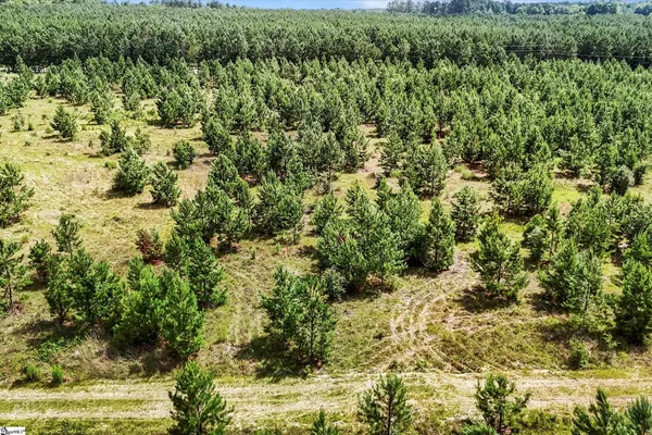 $1,099,750 | 4000 Old Ninety Six Indian Trail, Wagener, SC 29164