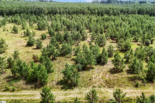 $1,099,750 | 4000 Old Ninety Six Indian Trail, Wagener, SC 29164