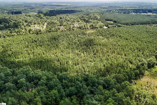 $1,099,750 | 4000 Old Ninety Six Indian Trail, Wagener, SC 29164