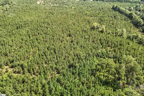 $1,099,750 | 4000 Old Ninety Six Indian Trail, Wagener, SC 29164