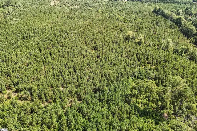 $1,099,750 | 4000 Old Ninety Six Indian Trail, Wagener, SC 29164