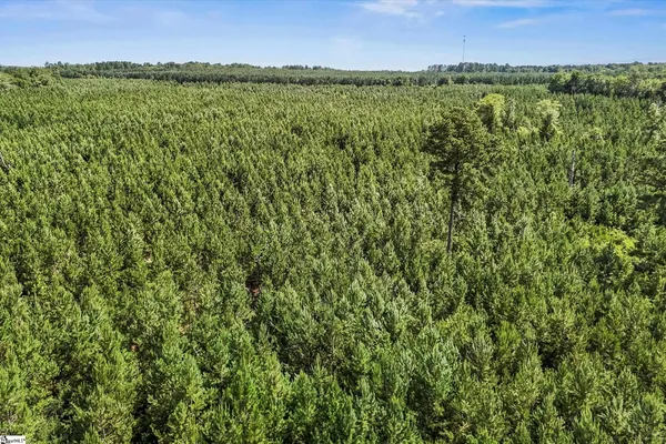 $1,099,750 | 4000 Old Ninety Six Indian Trail, Wagener, SC 29164