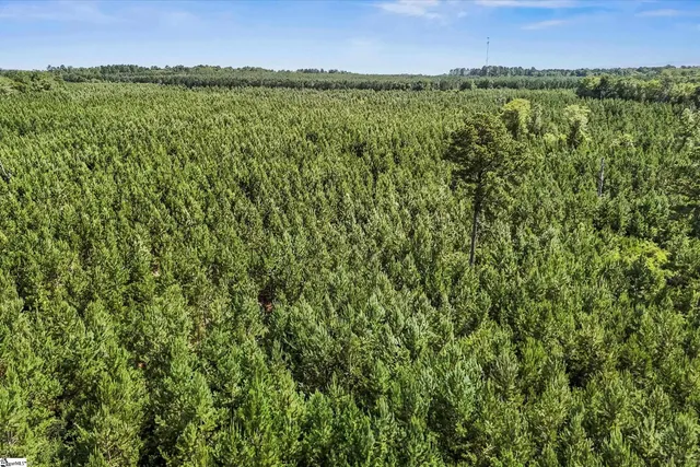 $1,099,750 | 4000 Old Ninety Six Indian Trail, Wagener, SC 29164