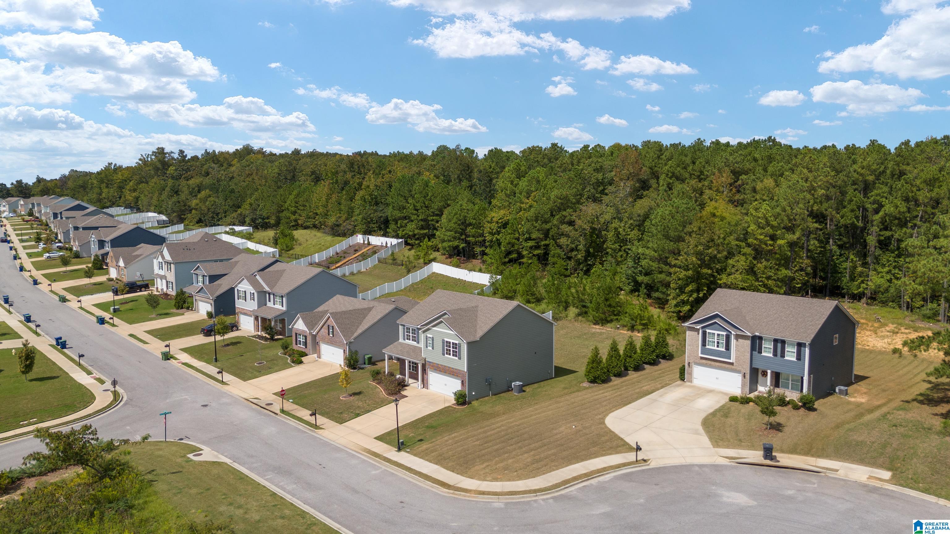 1083 Flyway View Lane Alabaster, AL 35007 - Photo 49 of 57
