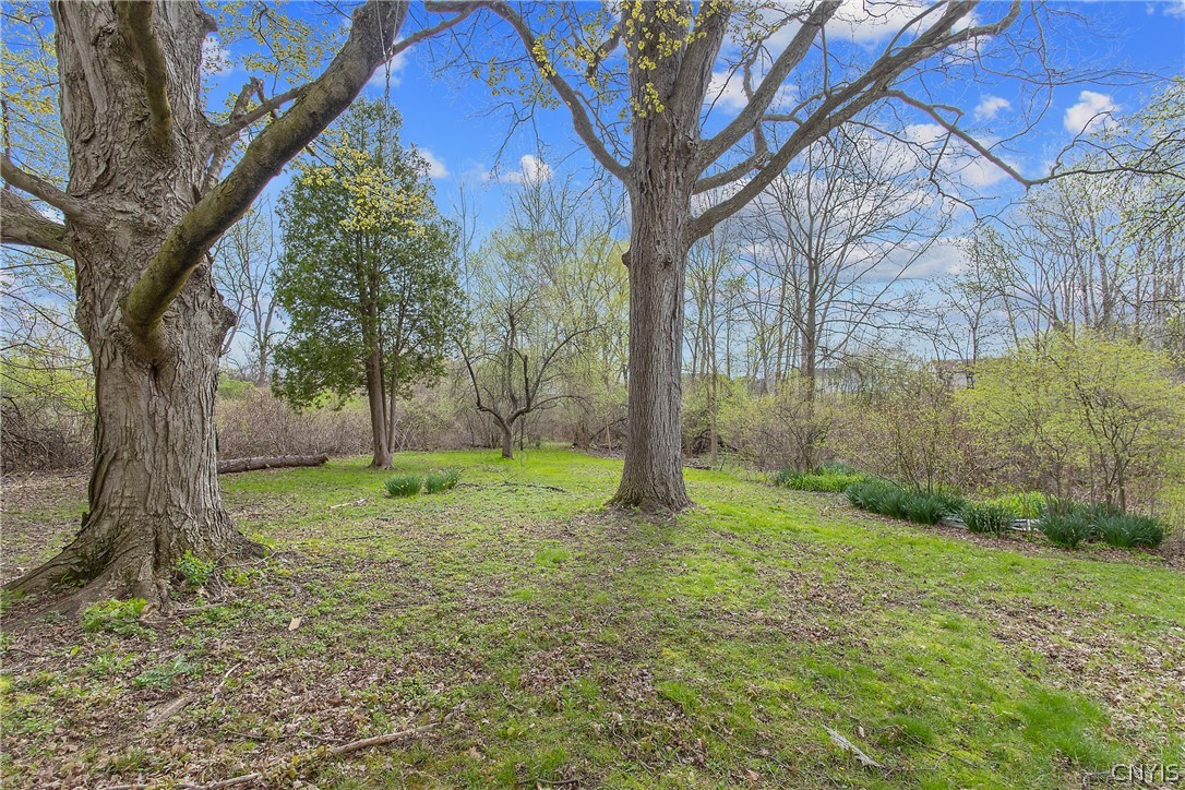 8198 Soule Road Clay, NY 13090 - Photo 5 of 28 Side Yard Looking to Back Left