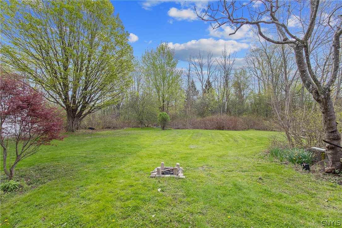 8198 Soule Road Clay, NY 13090 - Photo 7 of 28 View From Main Barn Towards Back