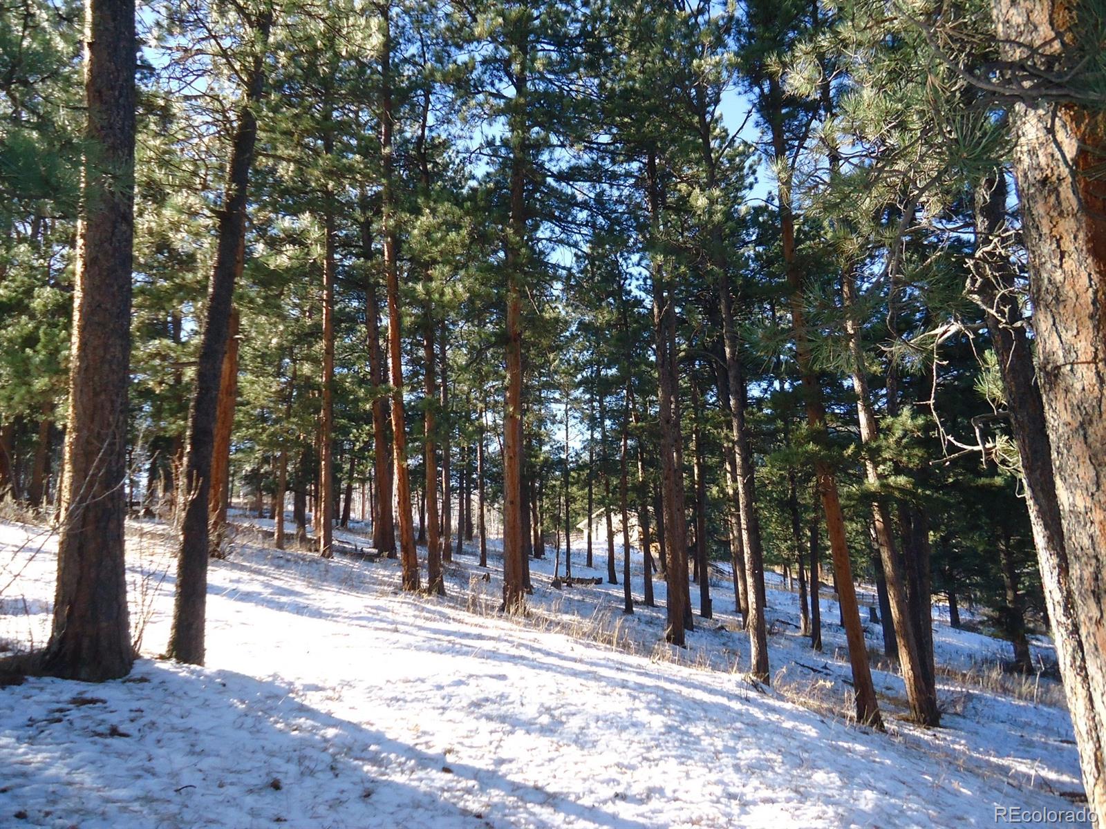 C Ridge Road Evergreen, CO 80439 - Photo 2 of 10 Gallery Image 2