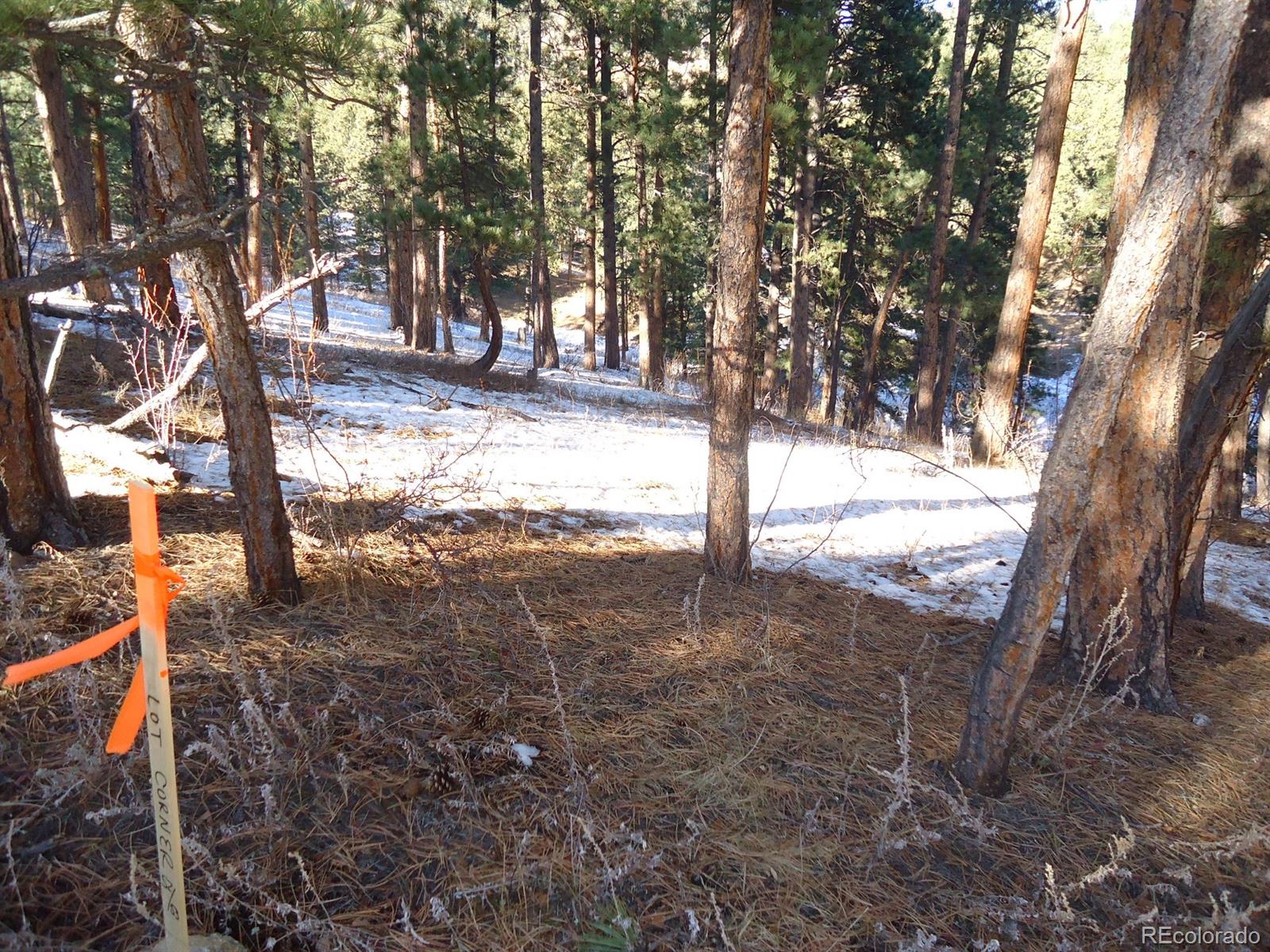 C Ridge Road Evergreen, CO 80439 - Photo 3 of 10 Gallery Image 3