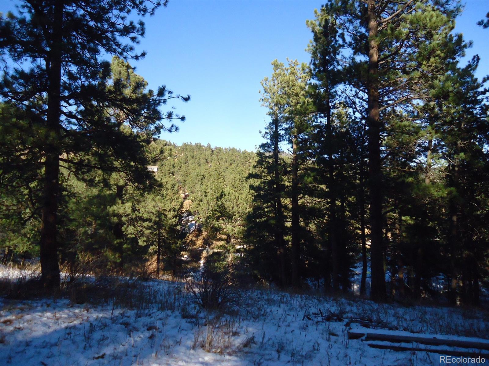 C Ridge Road Evergreen, CO 80439 - Photo 4 of 10 Gallery Image 4