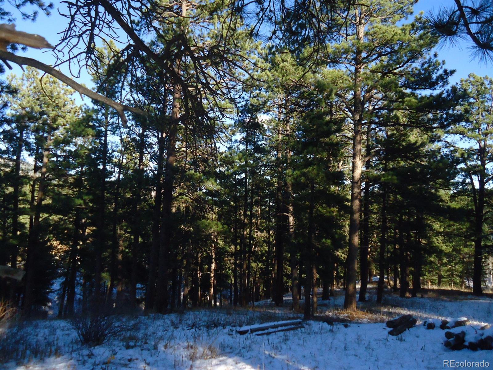 C Ridge Road Evergreen, CO 80439 - Photo 5 of 10 Gallery Image 5