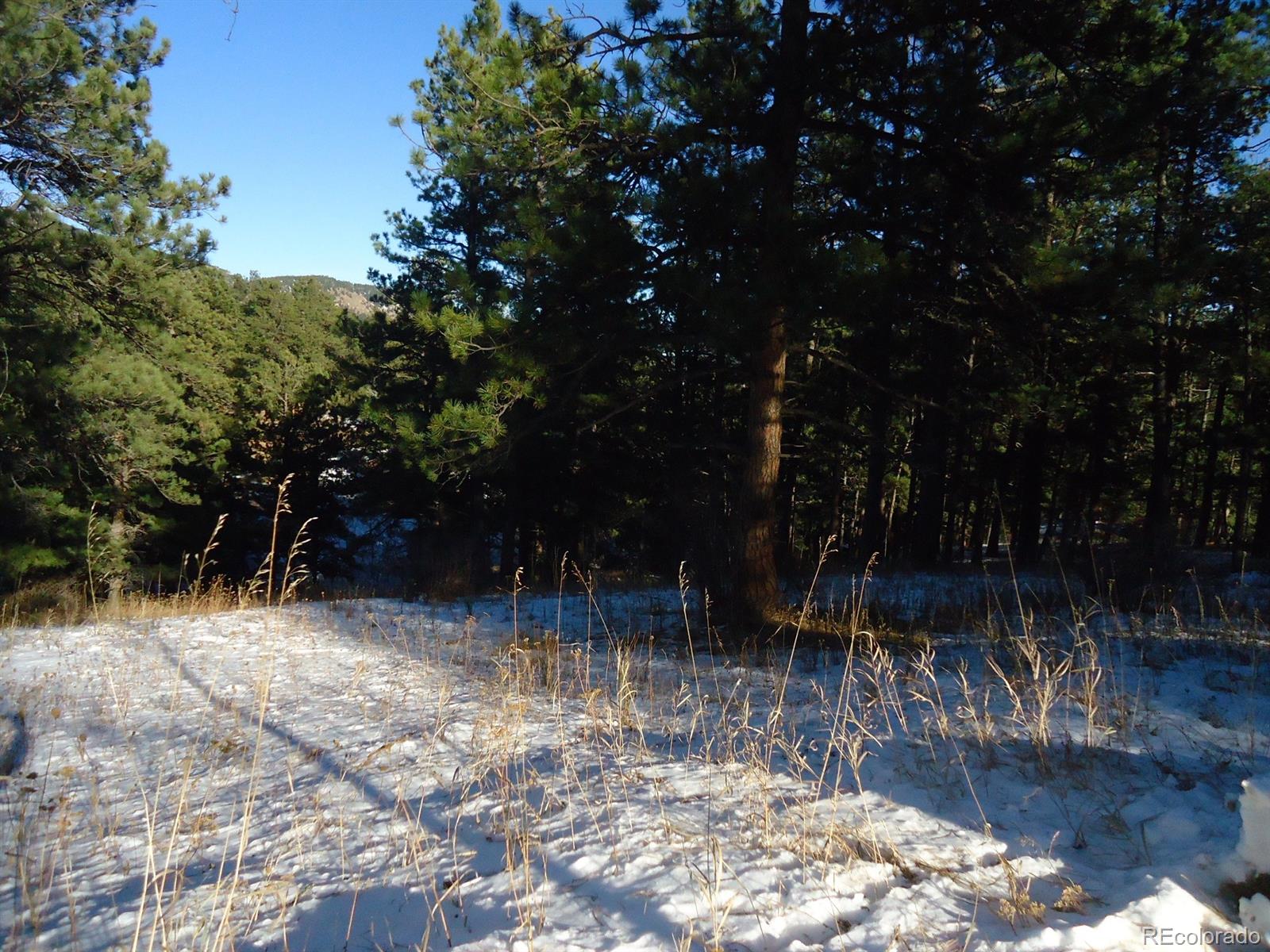 C Ridge Road Evergreen, CO 80439 - Photo 6 of 10 Gallery Image 6