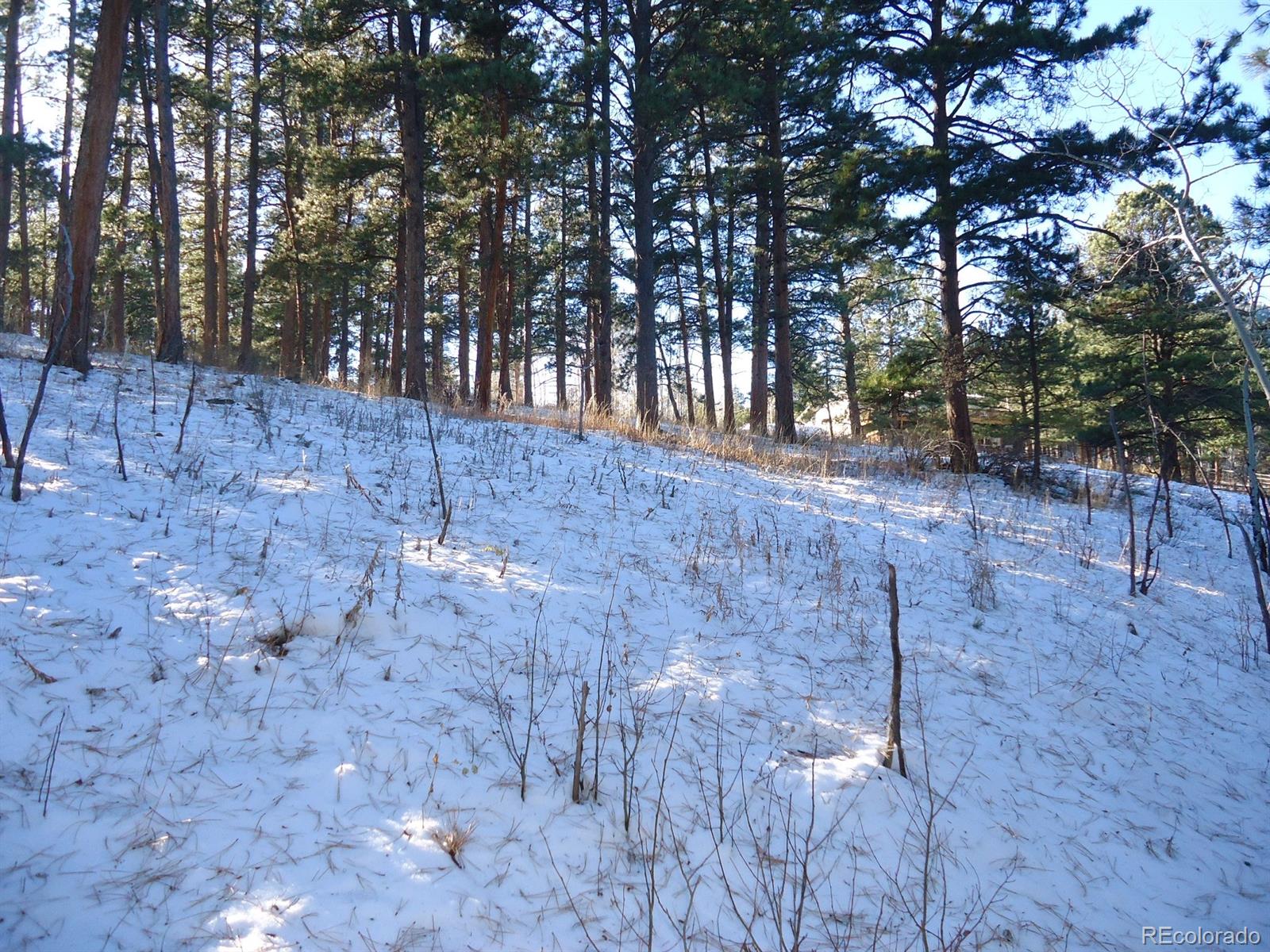 C Ridge Road Evergreen, CO 80439 - Photo 7 of 10 Gallery Image 7