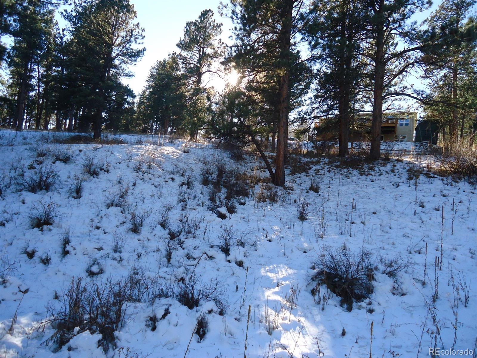 C Ridge Road Evergreen, CO 80439 - Photo 8 of 10 Gallery Image 8