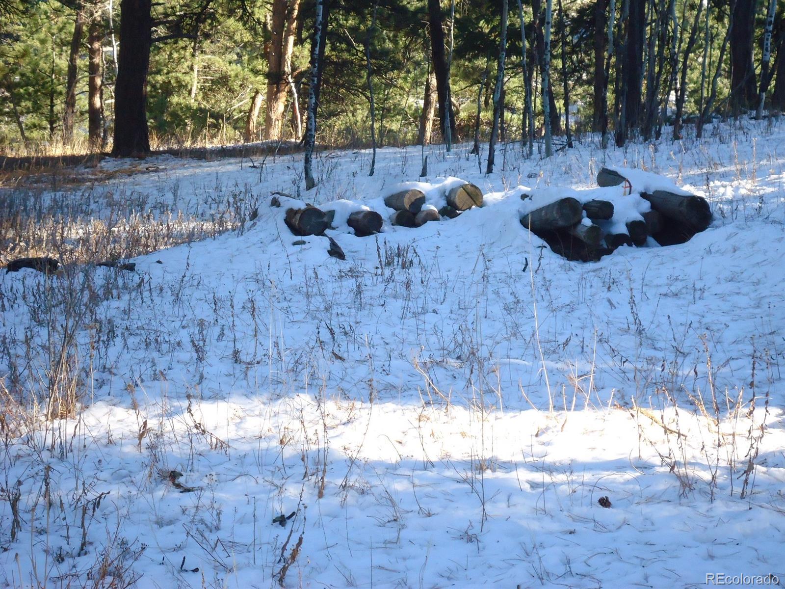 C Ridge Road Evergreen, CO 80439 - Photo 9 of 10 Gallery Image 9