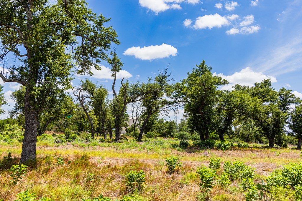 Lot 37 Boot Ranch Circle, Unit 37 Fredericksburg, TX 78624 - Photo 2 of 18