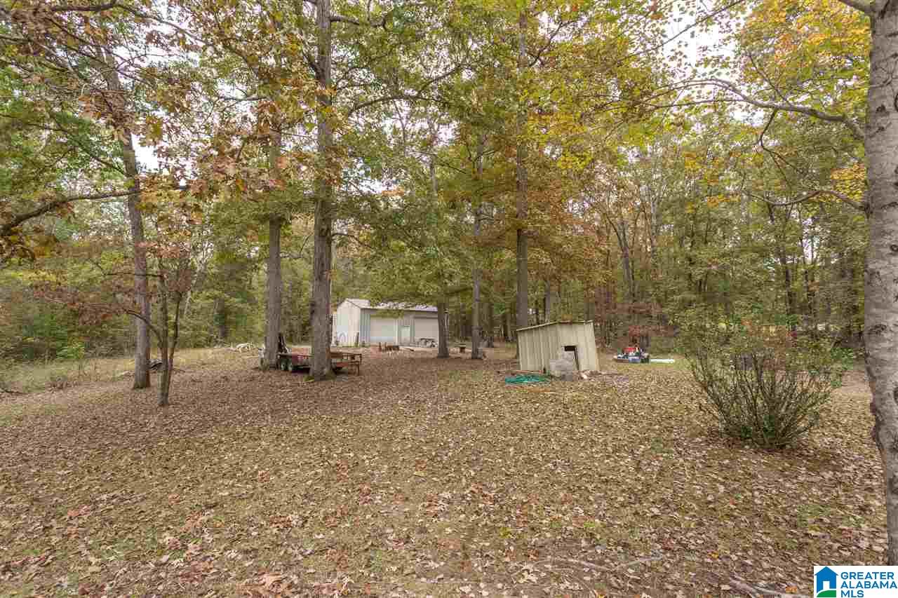 17935 Highway 75 Remlap, AL 35133 - Photo 22 of 30