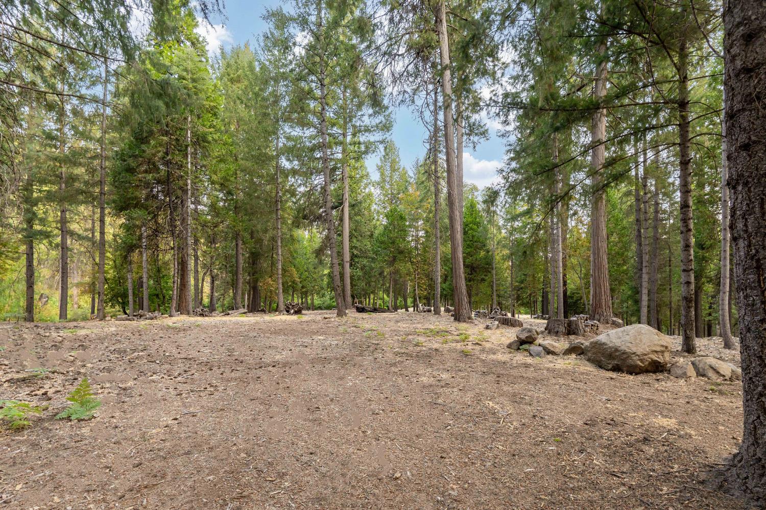 10623 Yearling Road Nevada City, CA 95959 - Photo 15 of 59