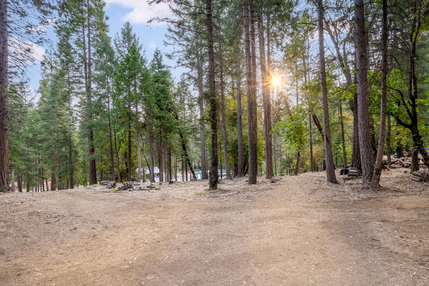 10623 Yearling Road Nevada City, CA 95959 - Photo 16 of 59 a view of outdoor space with trees