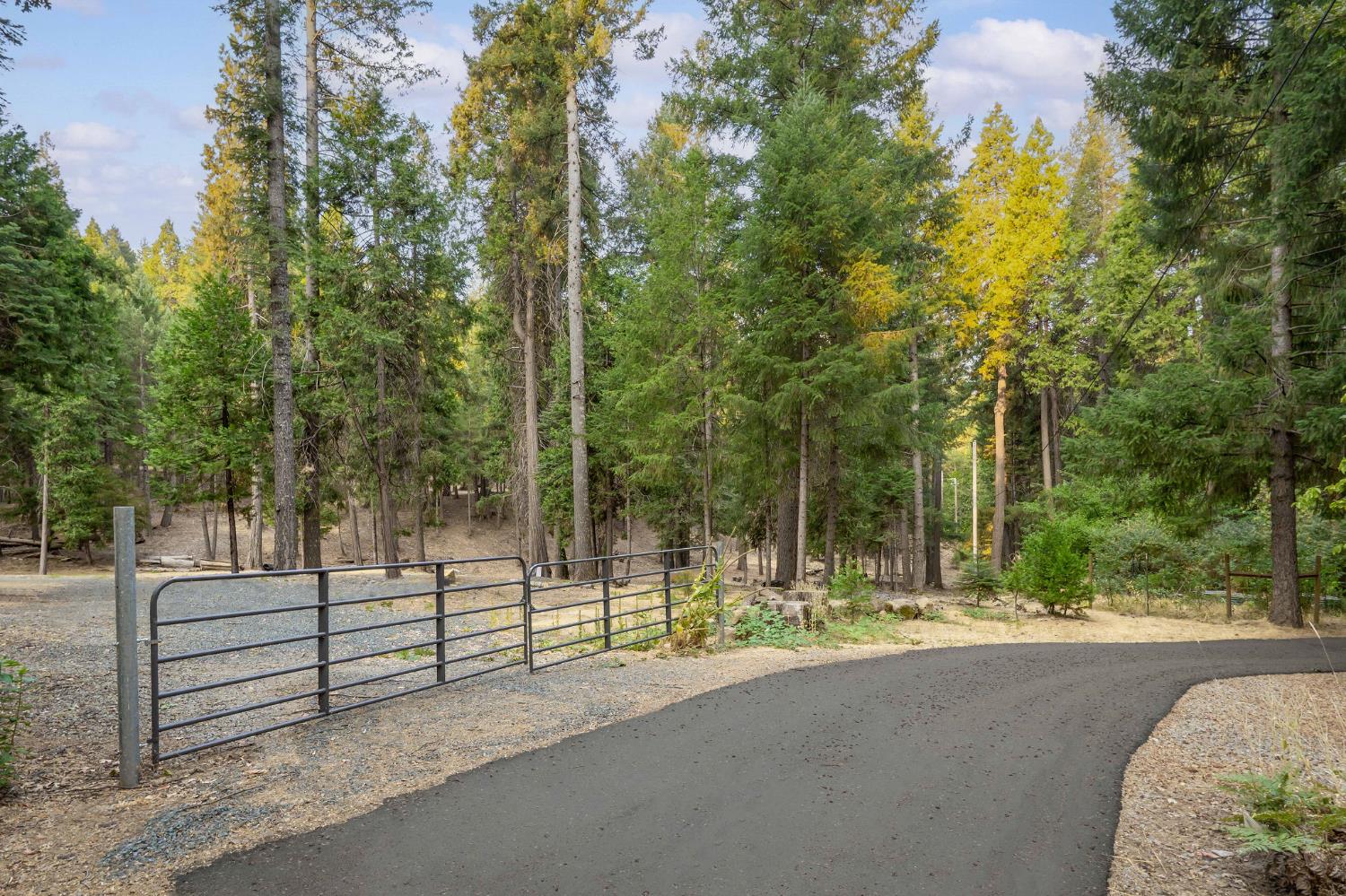 10623 Yearling Road Nevada City, CA 95959 - Photo 19 of 59