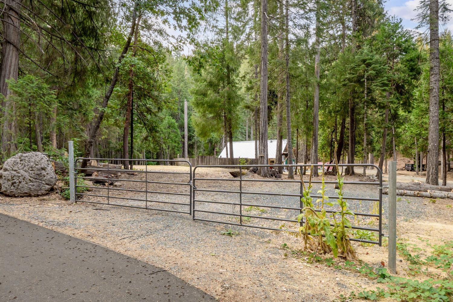 10623 Yearling Road Nevada City, CA 95959 - Photo 20 of 59 a view of backyard with trees