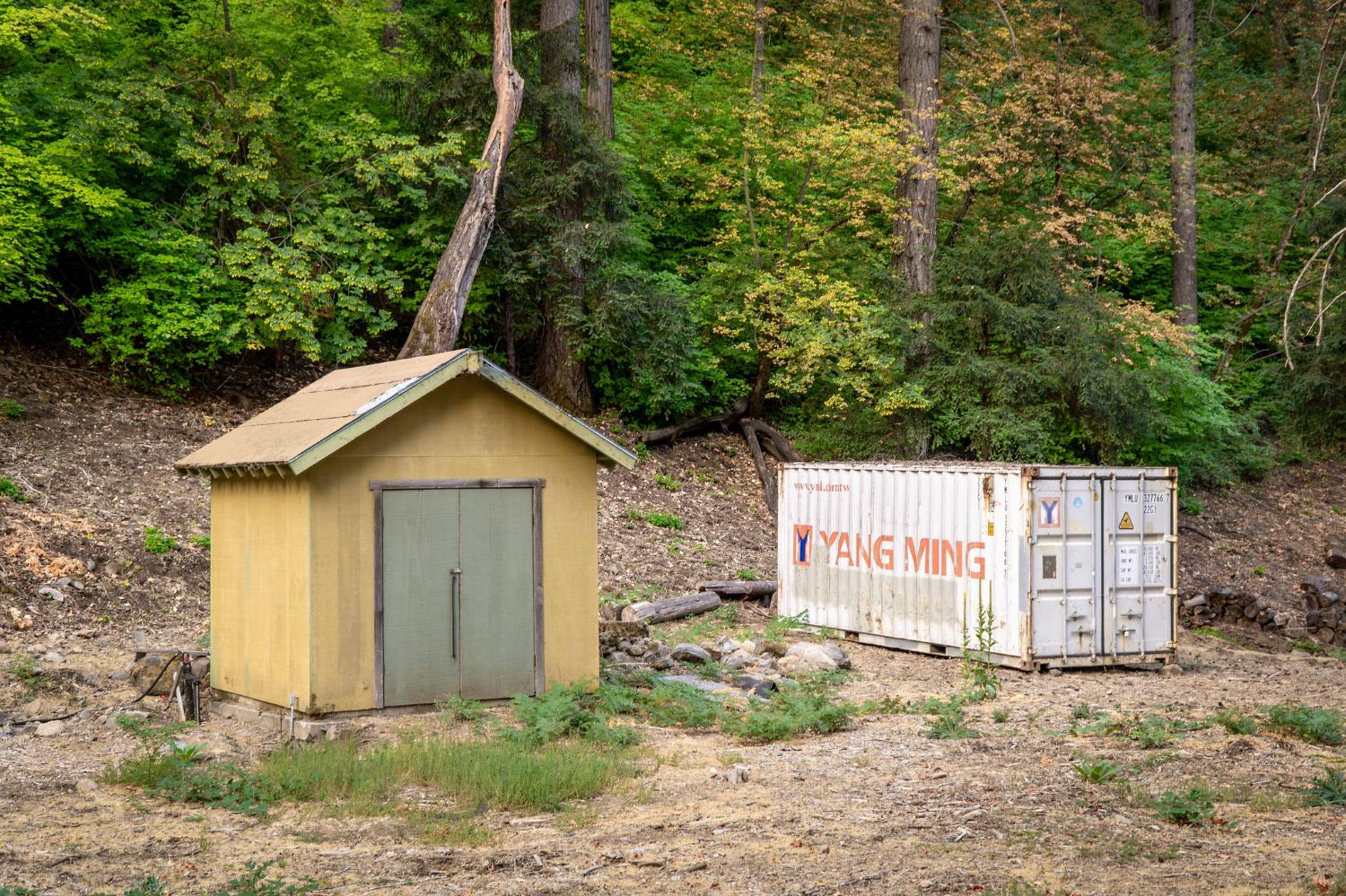 10623 Yearling Road Nevada City, CA 95959 - Photo 28 of 59 a view of a small house with a small yard and large tree