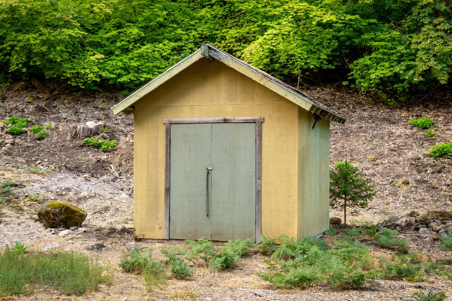 10623 Yearling Road Nevada City, CA 95959 - Photo 29 of 59 a view of a backyard with plants and large tree