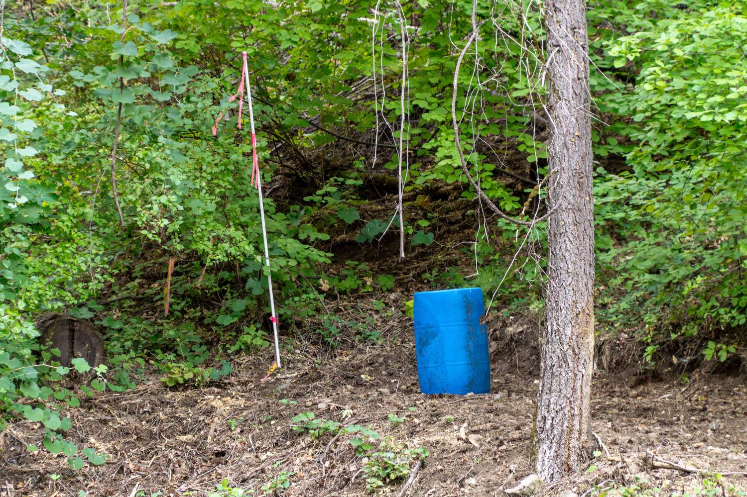 10623 Yearling Road Nevada City, CA 95959 - Photo 31 of 59