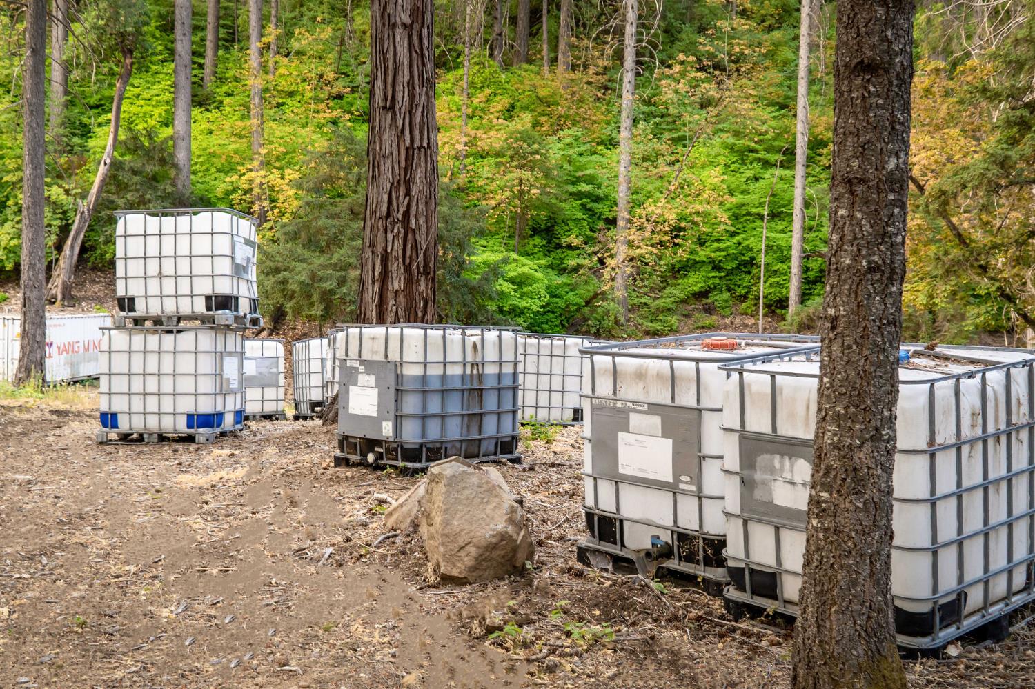 10623 Yearling Road Nevada City, CA 95959 - Photo 32 of 59