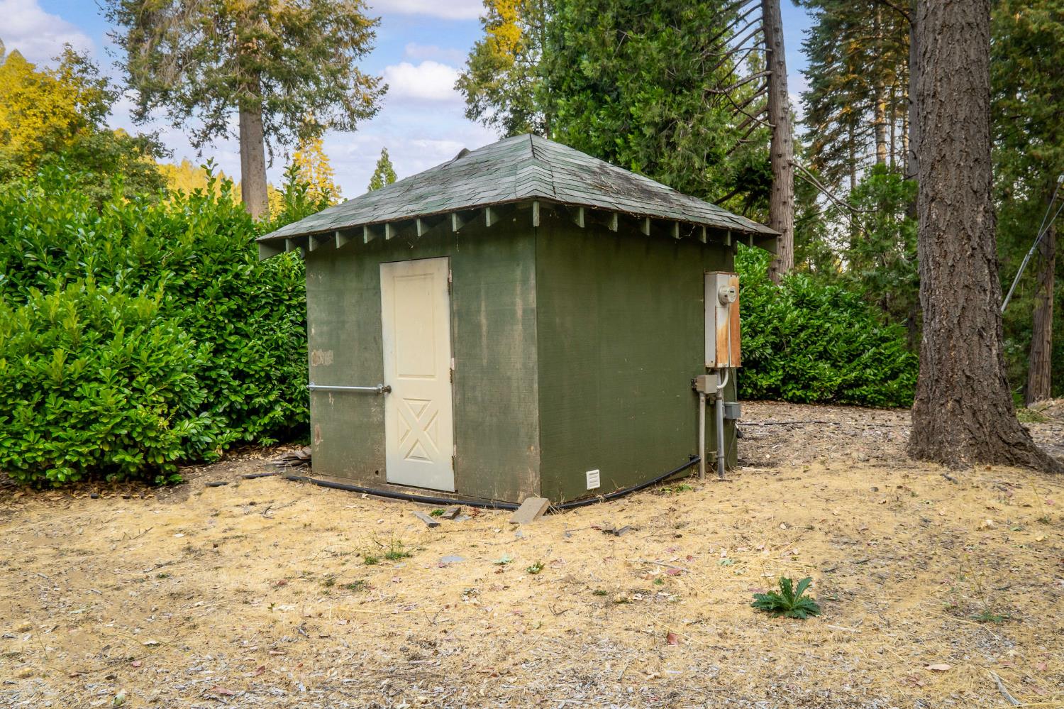 10623 Yearling Road Nevada City, CA 95959 - Photo 37 of 59 a view of a backyard of the house