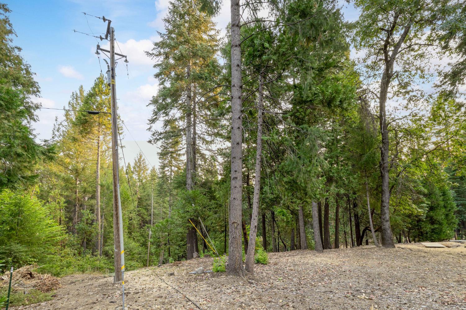 10623 Yearling Road Nevada City, CA 95959 - Photo 38 of 59 a view of a forest with trees