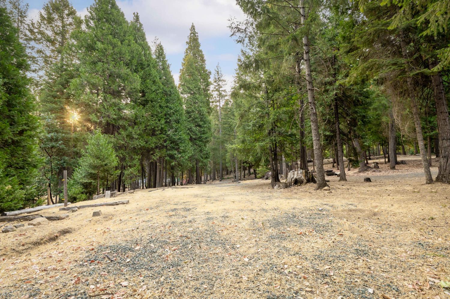 10623 Yearling Road Nevada City, CA 95959 - Photo 39 of 59